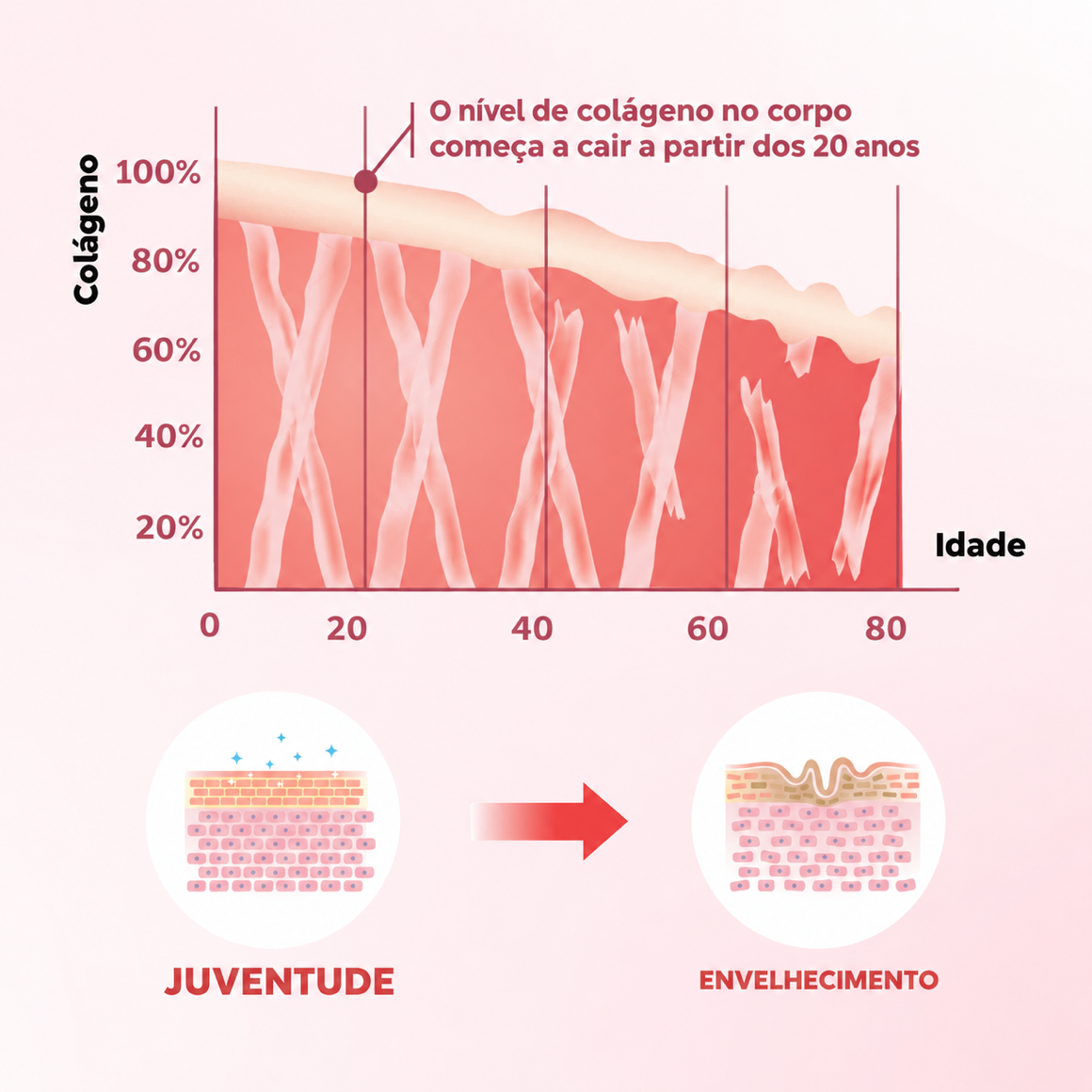 Gráfico mostrando a queda do colágeno com a idade e o efeito na estrutura da pele, da juventude ao envelhecimento.